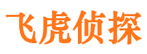 单县外遇出轨调查取证